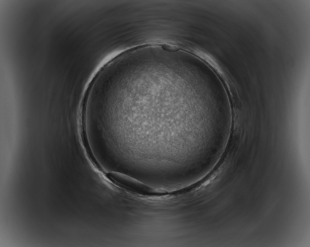 X0000087741048200705071048
