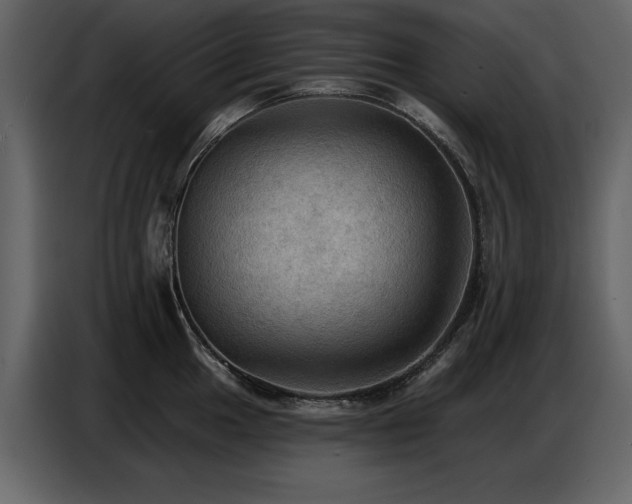 X0000087741049200705071048