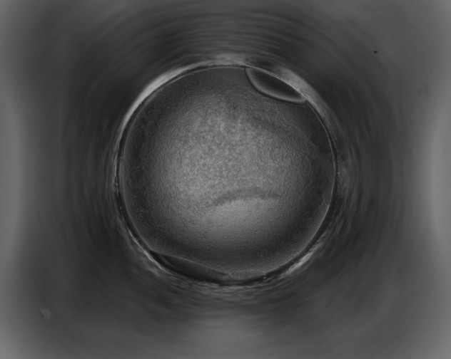 X0000087741052200705071049