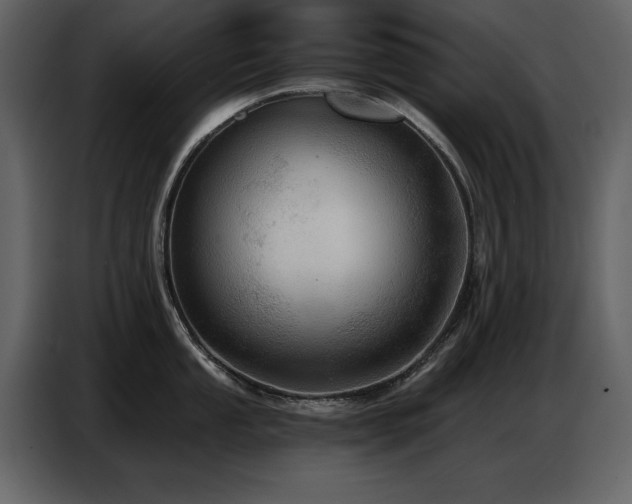 X0000087741053200705071049