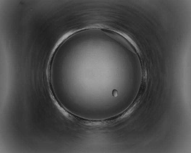 X0000087741054200705071049