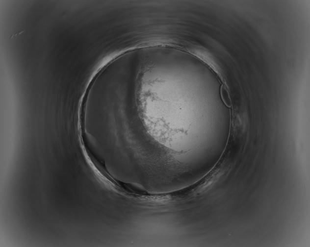 X0000087741055200705071049