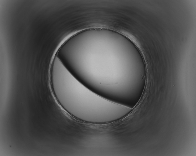X0000087741056200705071049