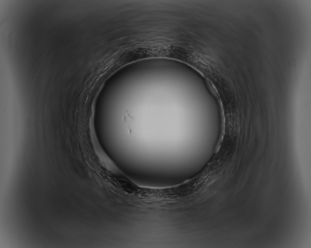 X0000087741057200705071048