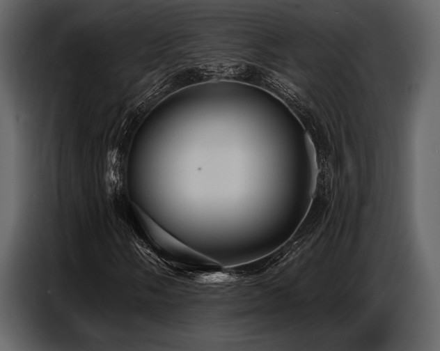 X0000087741058200705071048