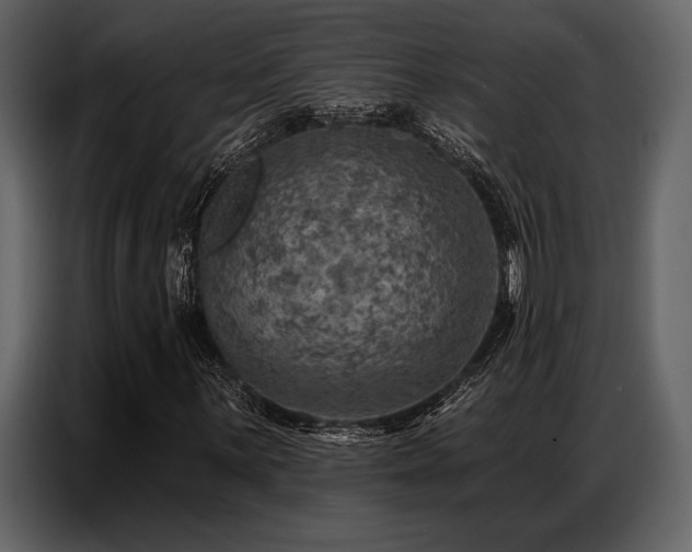 X0000087741059200705071048