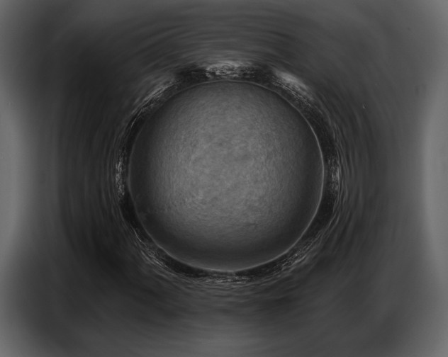 X0000087741060200705071048
