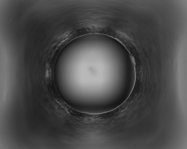 X0000087741061200705071048