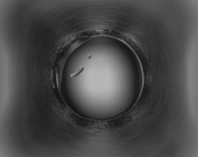 X0000087741062200705071048
