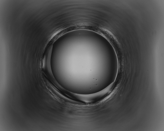X0000087741065200705071048