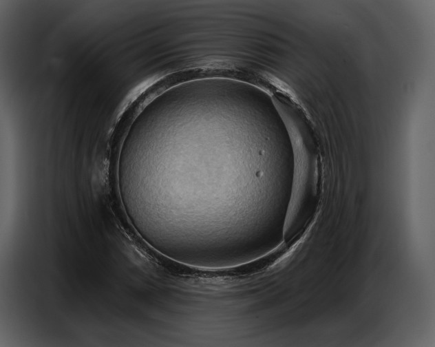 X0000087741066200705071048
