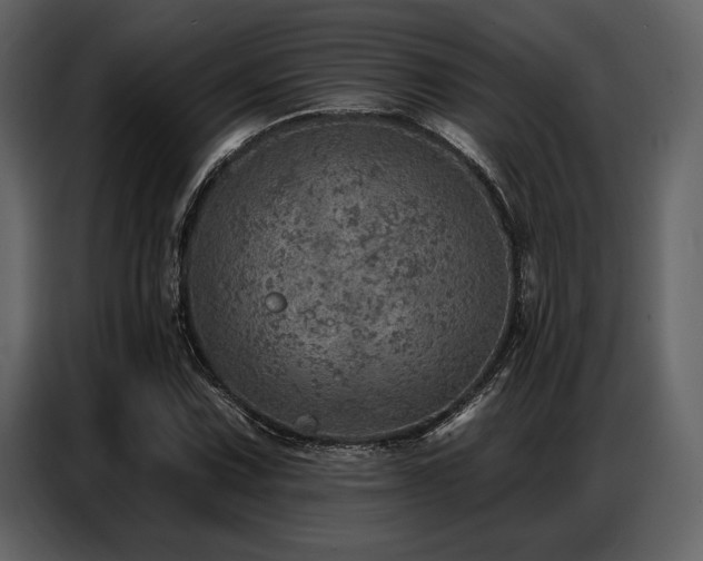 X0000087741067200705071048