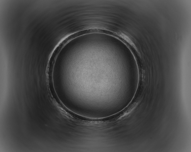 X0000087741068200705071048
