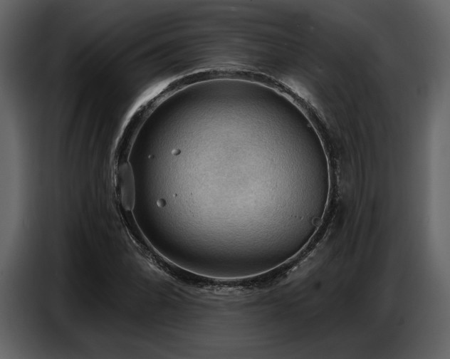 X0000087741070200705071048