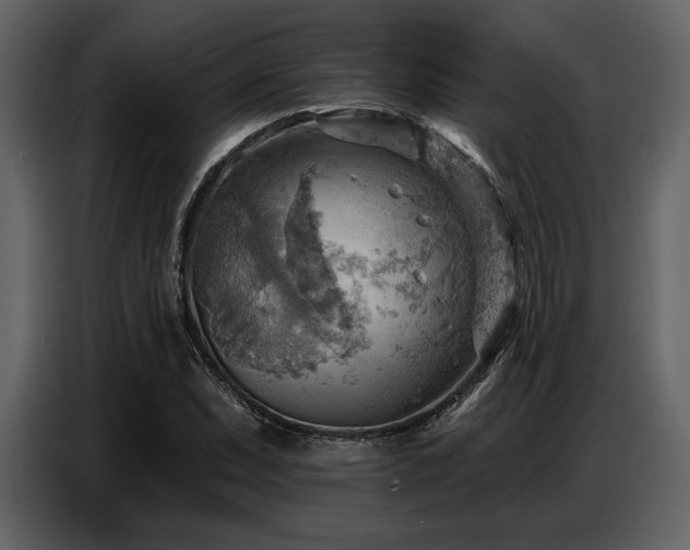 X0000087741071200705071048