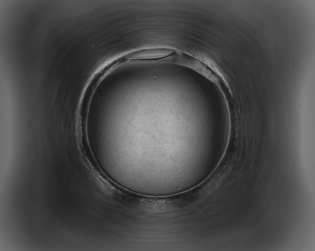 X0000087741072200705071048