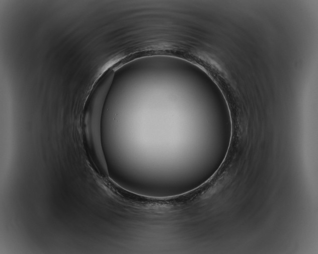 X0000087741073200705071048