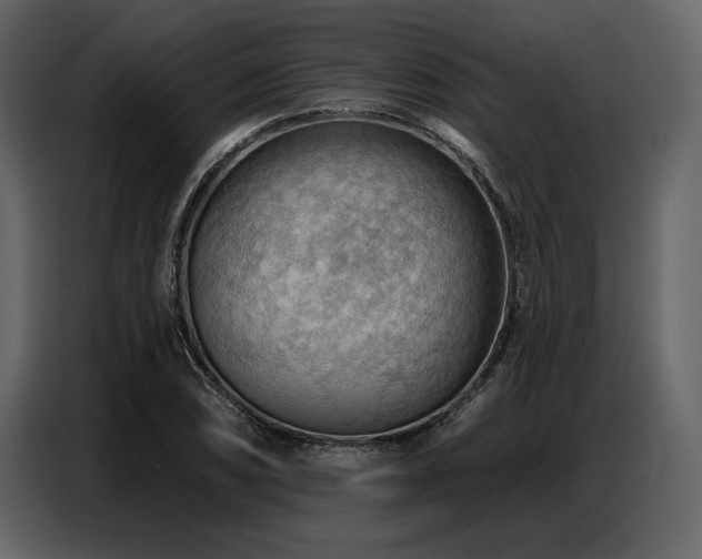 X0000087741074200705071048