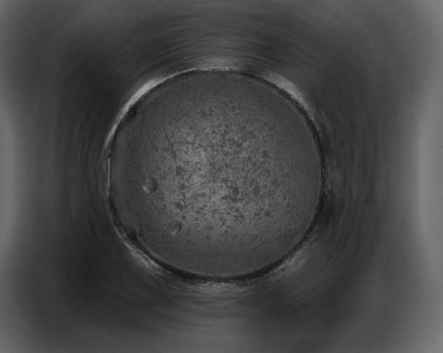 X0000087741075200705071048