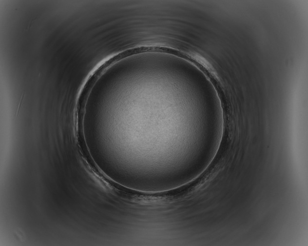 X0000087741076200705071048