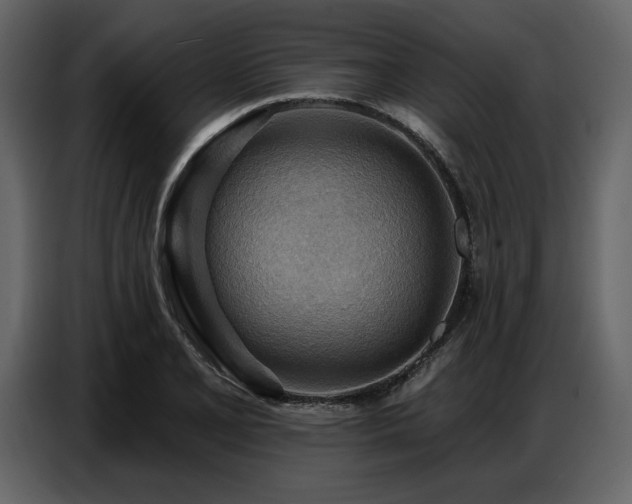 X0000087741077200705071048
