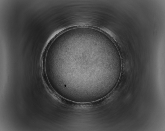 X0000087741078200705071048