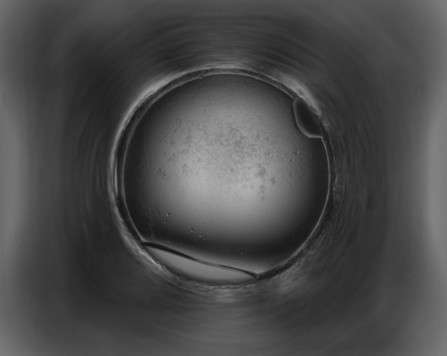 X0000087741080200705071048