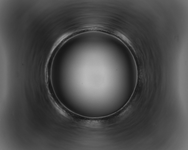 X0000087741082200705071048