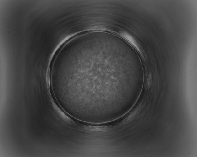 X0000087741084200705071048