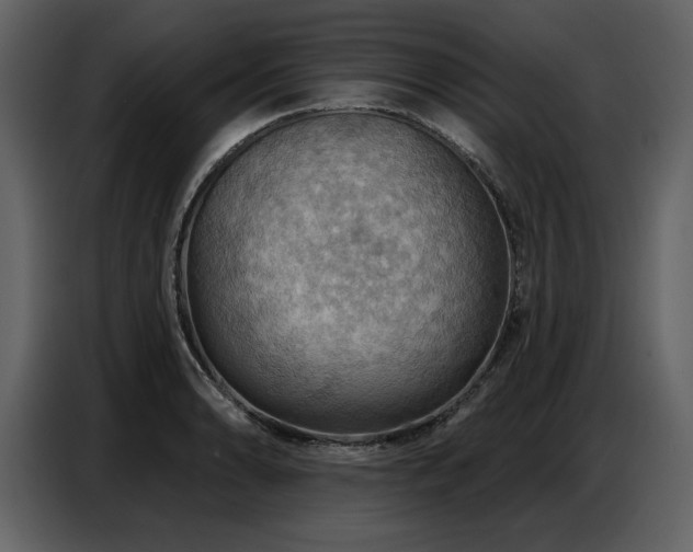 X0000087741086200705071048