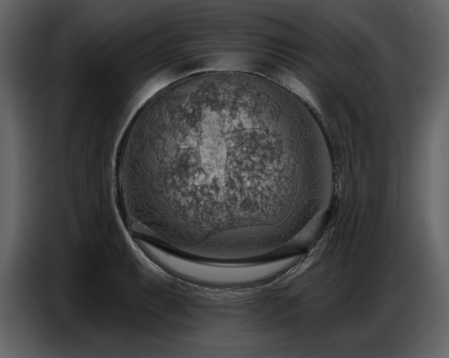 X0000087741087200705071048
