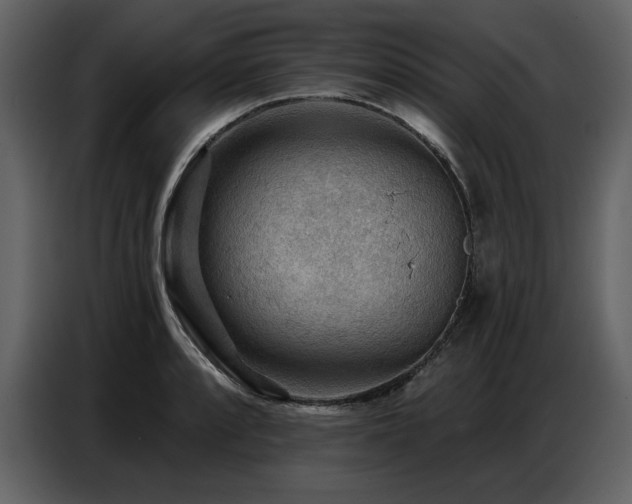 X0000087741088200705071048
