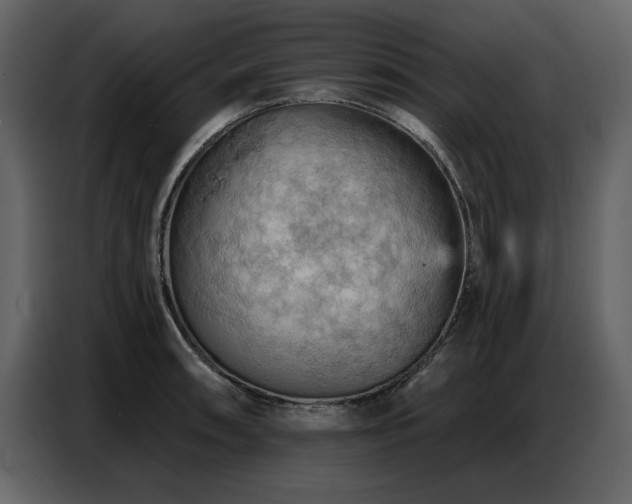 X0000087741090200705071048