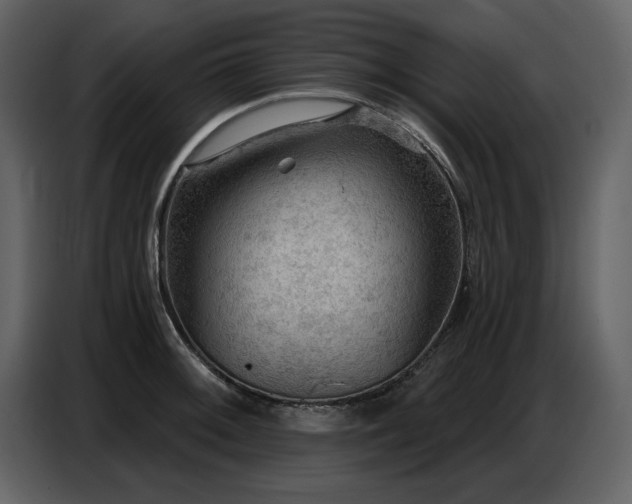 X0000087741092200705071047