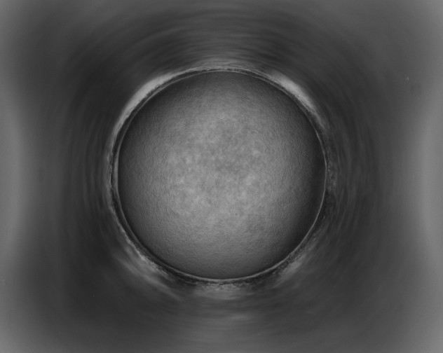X0000087741094200705071047