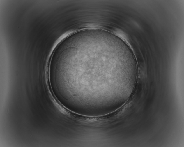 X0000087741098200705071047