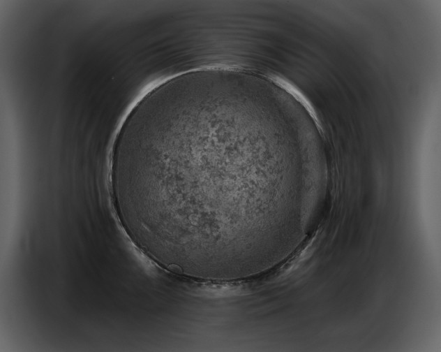 X0000087741099200705071047