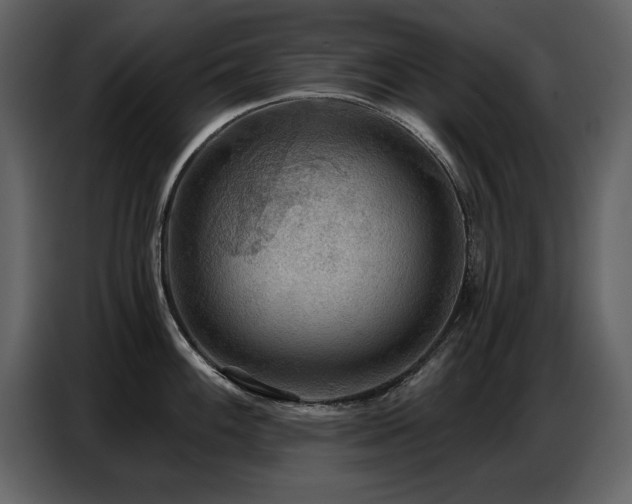X0000087741100200705071047