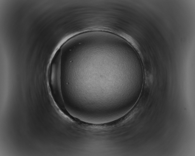 X0000087741102200705071047