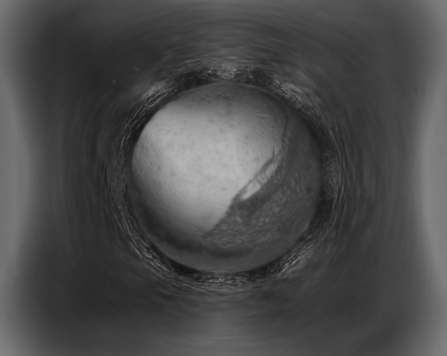 X0000087741105200705071047