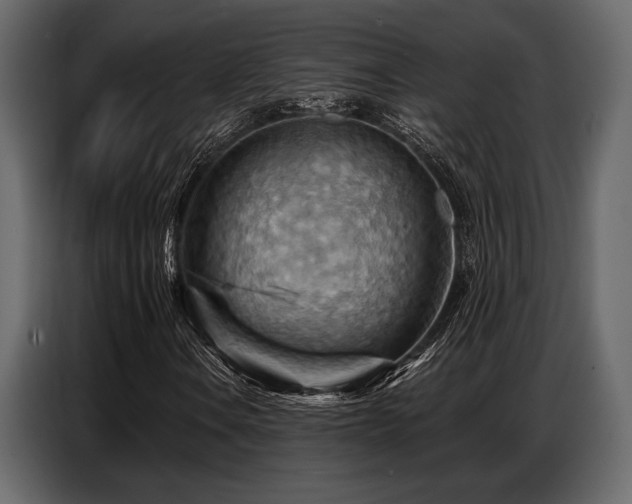 X0000087741106200705071047