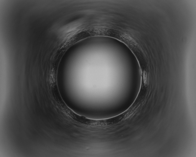 X0000087741107200705071047