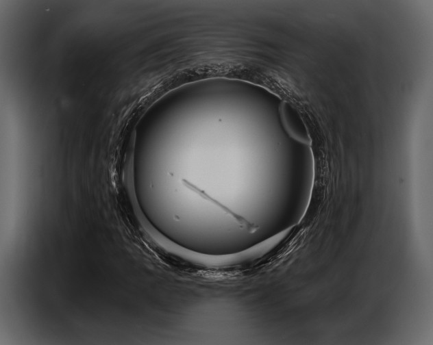 X0000087741109200705071047