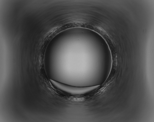 X0000087741110200705071047