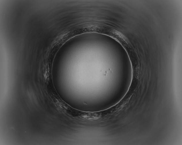 X0000087741111200705071047
