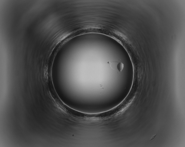 X0000087741113200705071047