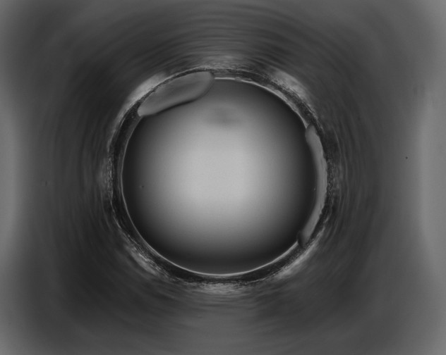 X0000087741114200705071047