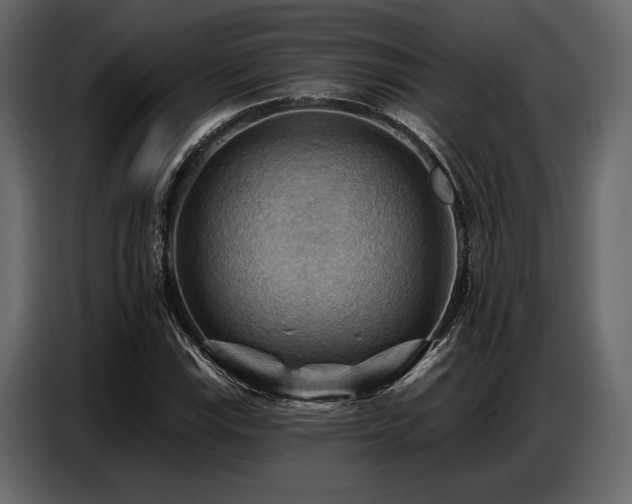 X0000087741115200705071047