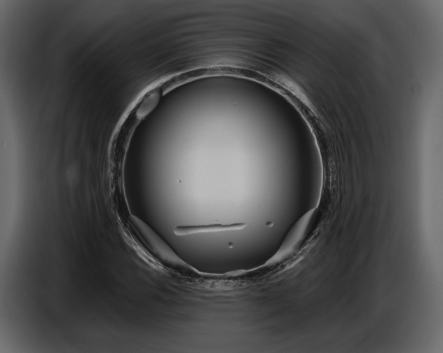 X0000087741116200705071047