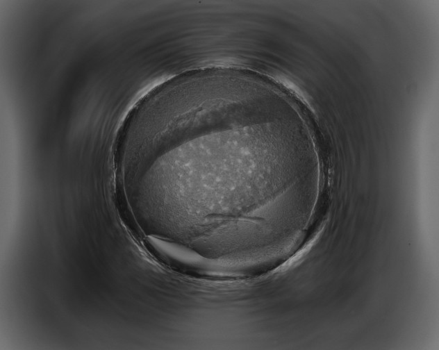X0000087741117200705071047